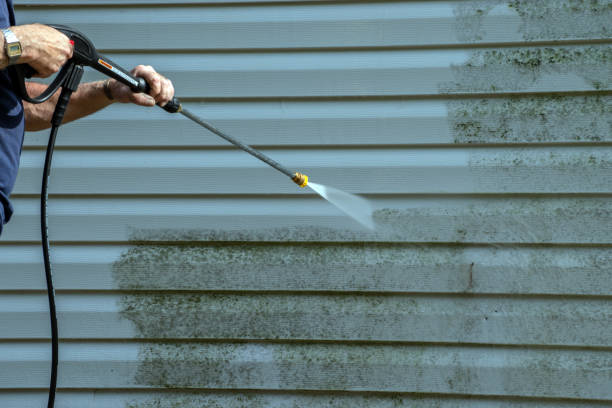 Best Local Pressure Washing Services  in Chapel Hill, TN